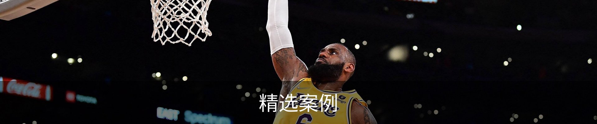 精选案例